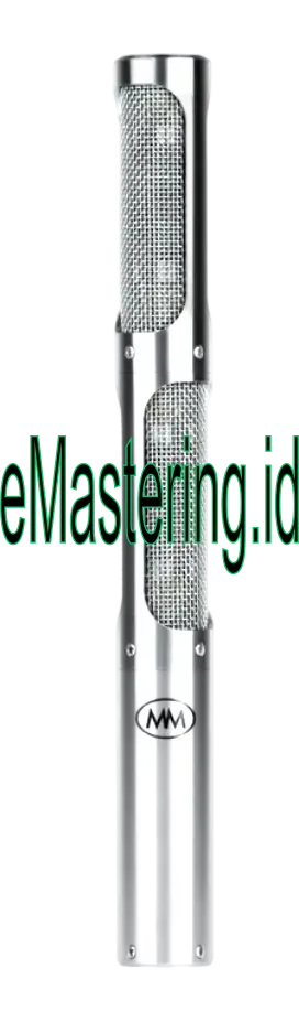 Mesanovic microphones THE MODEL 2S